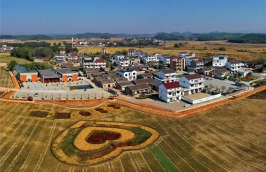 全力助推江西撫州金溪縣委托招商引資，加快建設(shè)現(xiàn)代生態(tài)產(chǎn)業(yè)新城