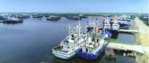 集團(tuán)全力助推南通外向型農(nóng)業(yè)綜合開(kāi)發(fā)區(qū)委托招商引資，打造現(xiàn)代化專業(yè)食品園區(qū)
